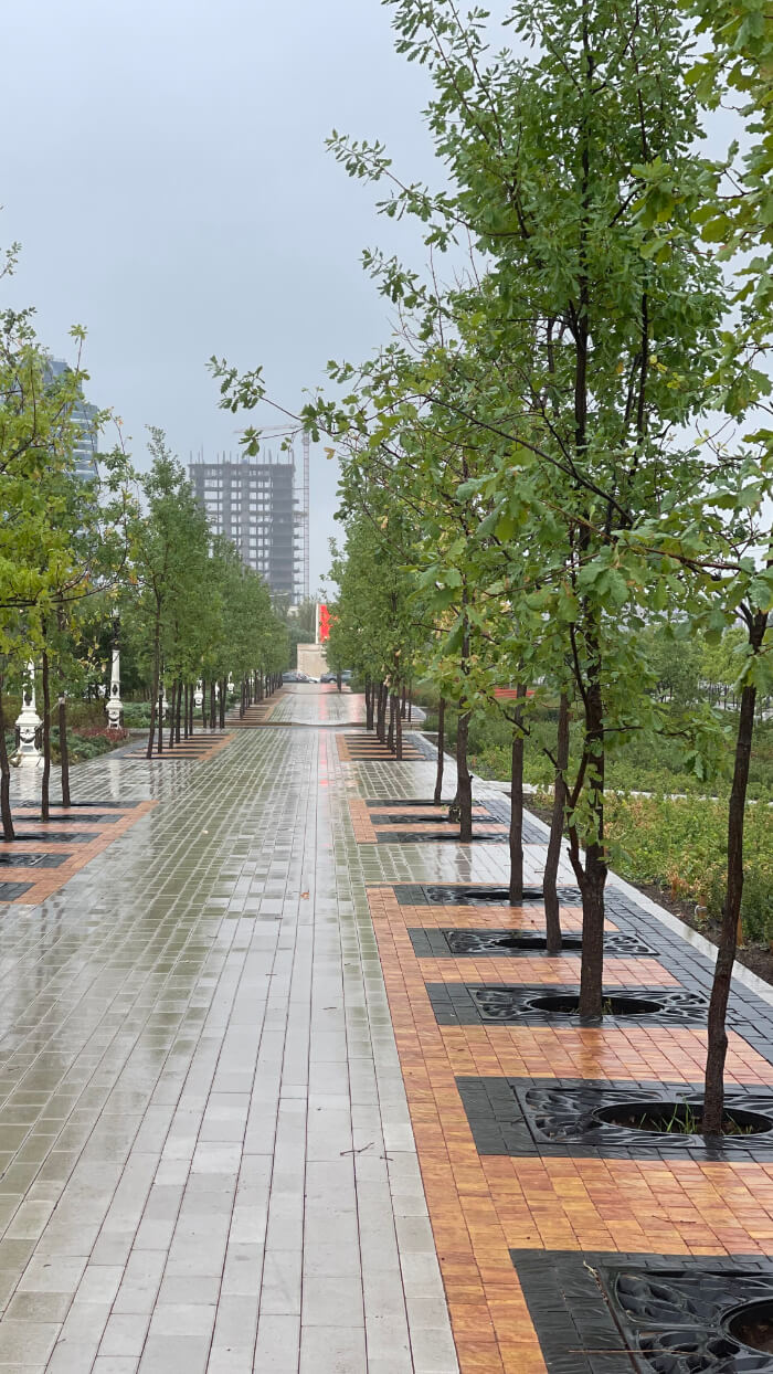 Приствольная решетка для дерева ZKING CRUST 1.2х1.2м Черная в Воронеже фото