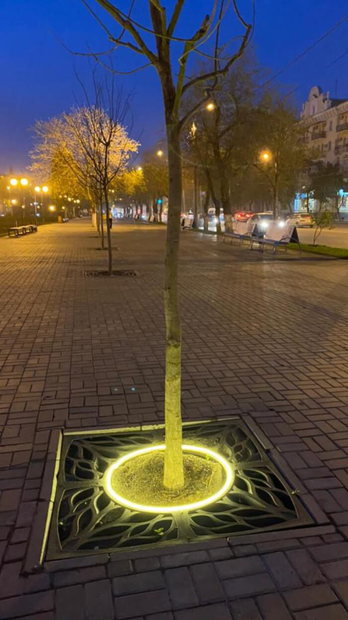 Приствольная решетка для дерева ZKING CRUST 1.2х1.2м Черная в Воронеже фото